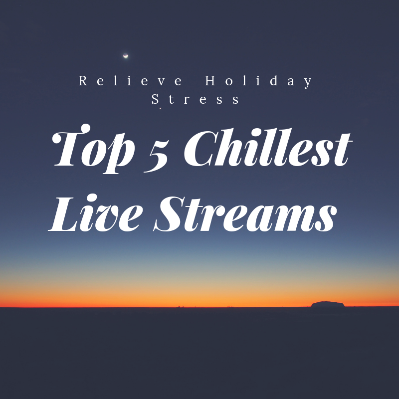 Top 5 Chillest Live Streams on the Internet